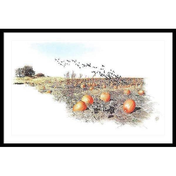 Pumpkin Patch - Framed Print | Artwork by Glen Loates