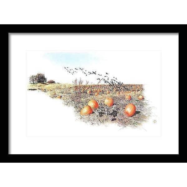 Pumpkin Patch - Framed Print | Artwork by Glen Loates