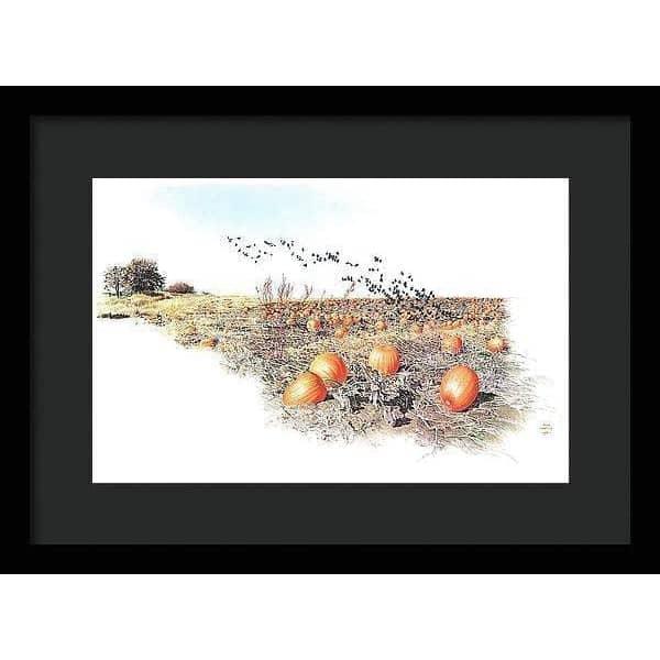 Pumpkin Patch - Framed Print | Artwork by Glen Loates