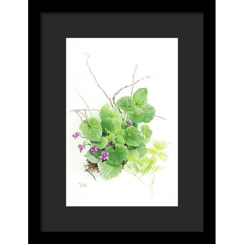 Purple Violets - Framed Print | Artwork by Glen Loates