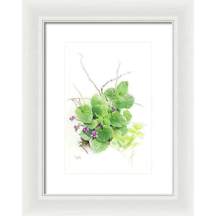 Purple Violets - Framed Print | Artwork by Glen Loates