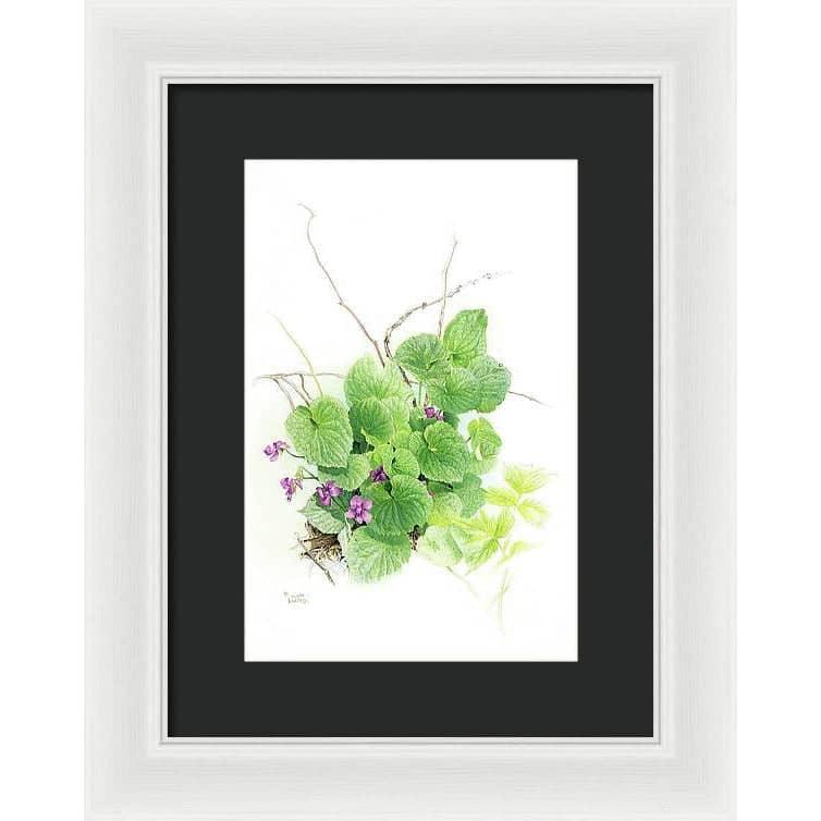 Purple Violets - Framed Print | Artwork by Glen Loates