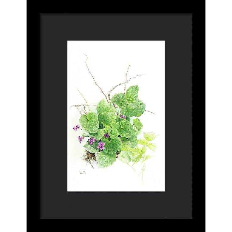 Purple Violets - Framed Print | Artwork by Glen Loates