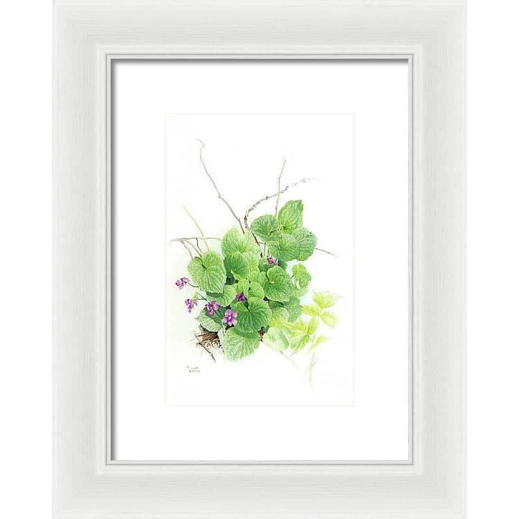 Purple Violets - Framed Print | Artwork by Glen Loates
