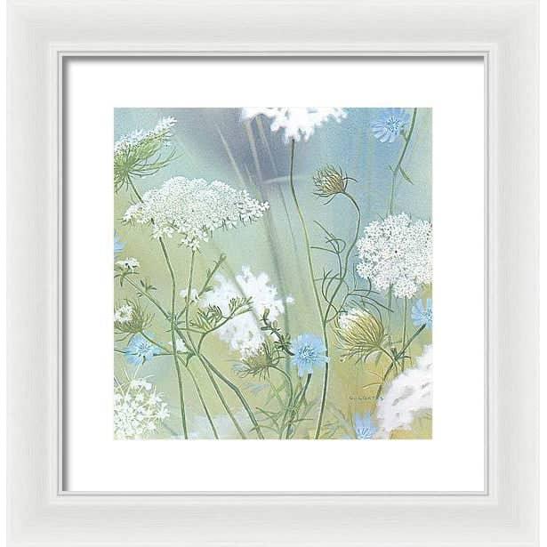 Queen Annes Lace - Framed Print | Artwork by Glen Loates