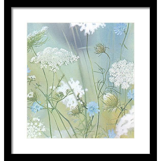Queen Annes Lace - Framed Print | Artwork by Glen Loates