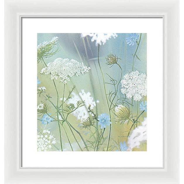 Queen Annes Lace - Framed Print | Artwork by Glen Loates