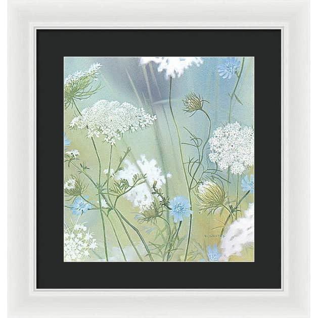 Queen Annes Lace - Framed Print | Artwork by Glen Loates