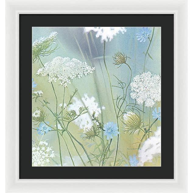 Queen Annes Lace - Framed Print | Artwork by Glen Loates