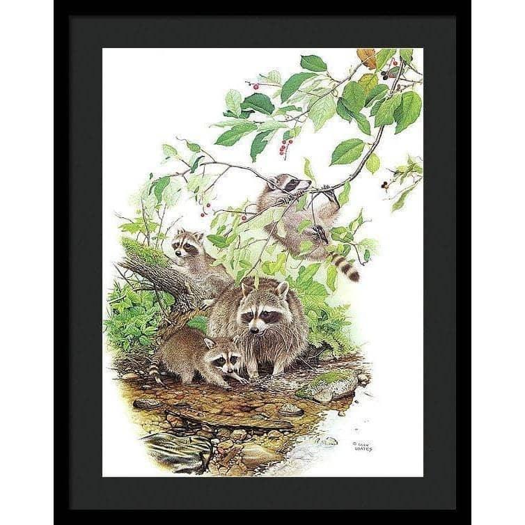 Raccoon Family - Framed Print | Artwork by Glen Loates