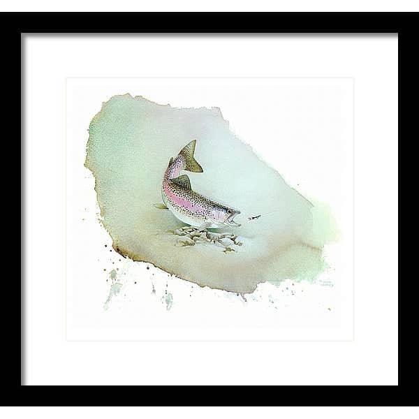 Rainbow Trout - Framed Print | Artwork by Glen Loates