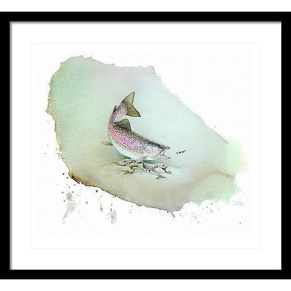 Rainbow Trout - Framed Print | Artwork by Glen Loates