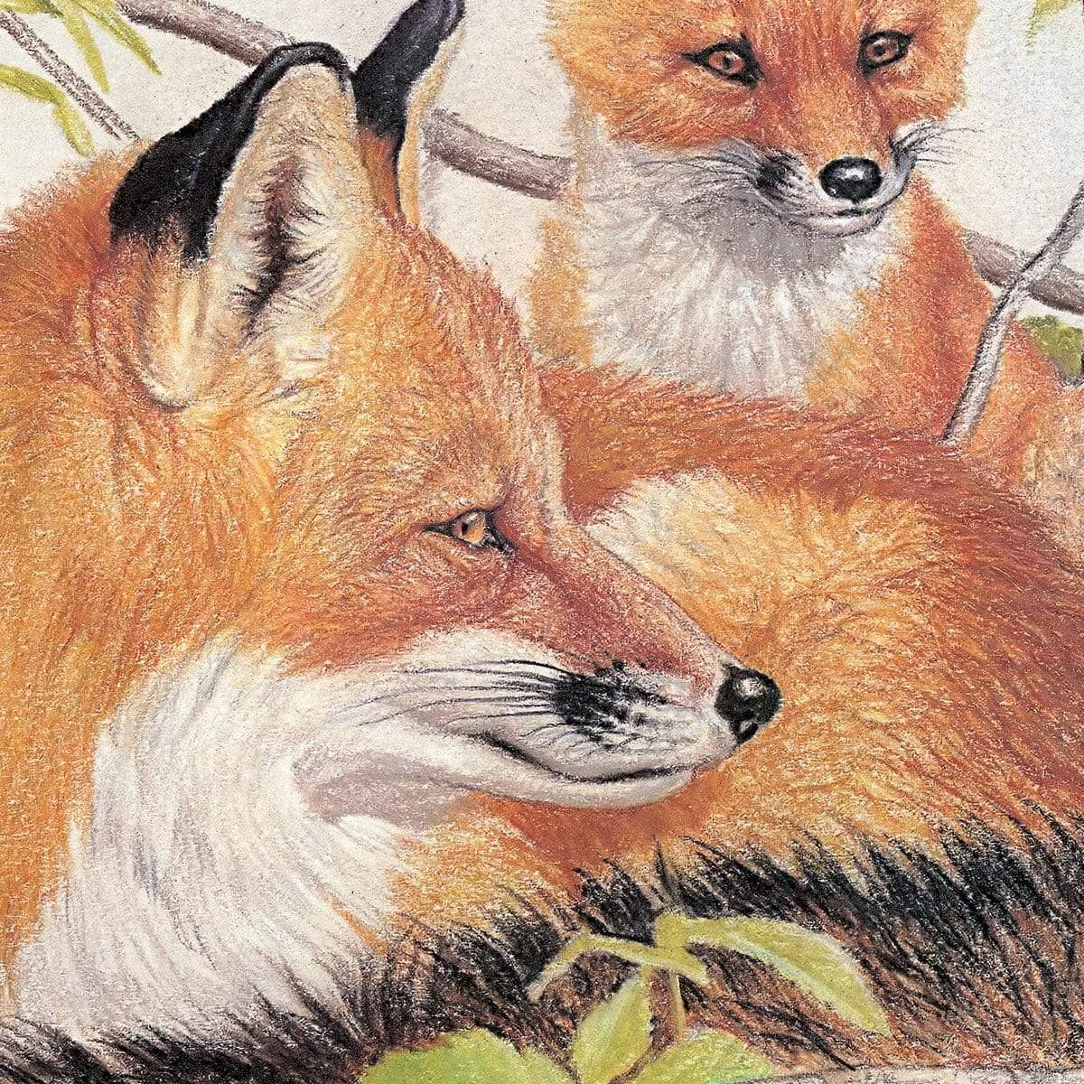 Red Fox and Kits - Canvas Print | Artwork by Glen Loates