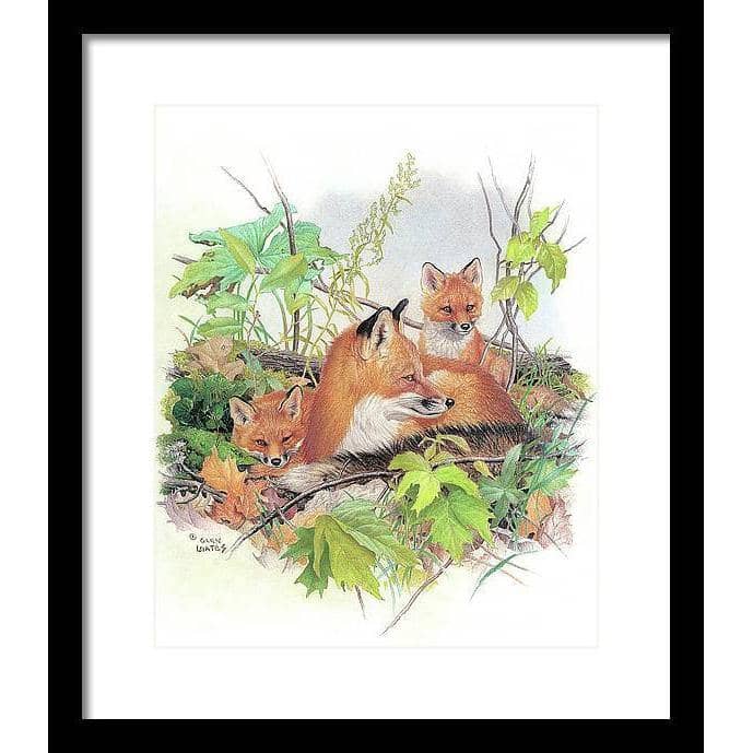Red Fox and Kits - Framed Print | Artwork by Glen Loates