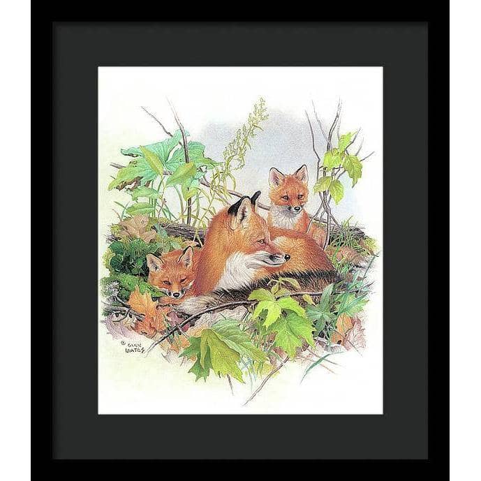 Red Fox and Kits - Framed Print | Artwork by Glen Loates
