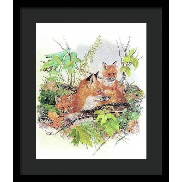 Red Fox and Kits - Framed Print | Artwork by Glen Loates