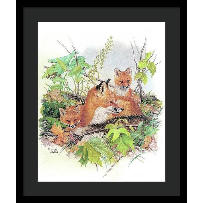 Red Fox and Kits - Framed Print | Artwork by Glen Loates