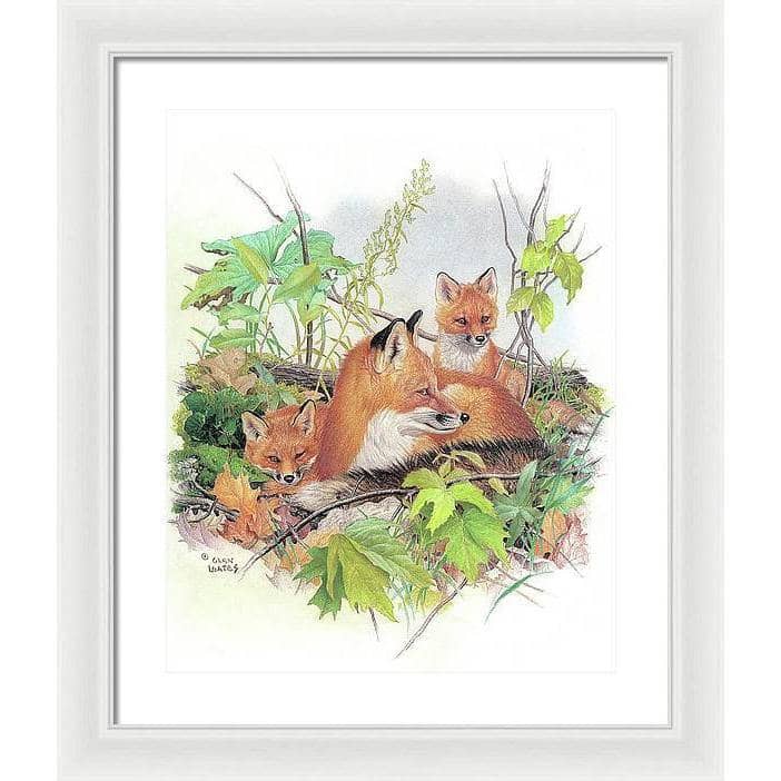 Red Fox and Kits - Framed Print | Artwork by Glen Loates