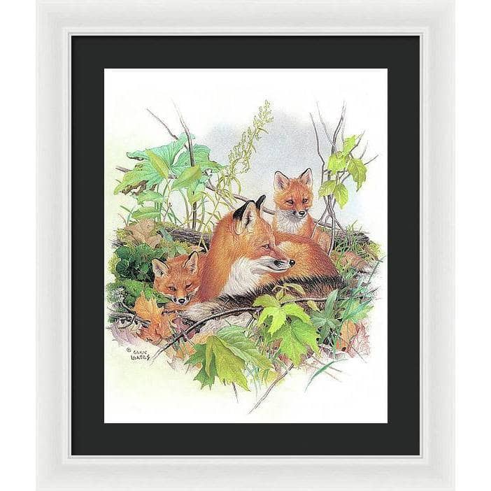Red Fox and Kits - Framed Print | Artwork by Glen Loates