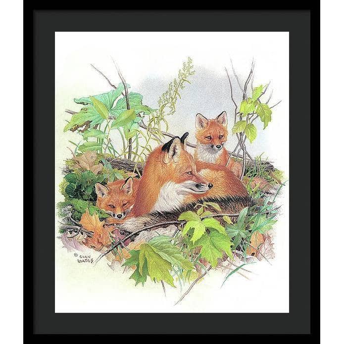 Red Fox and Kits - Framed Print | Artwork by Glen Loates