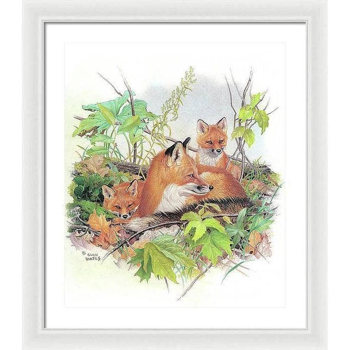 Red Fox and Kits - Framed Print | Artwork by Glen Loates