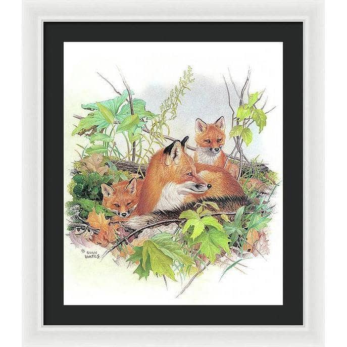 Red Fox and Kits - Framed Print | Artwork by Glen Loates