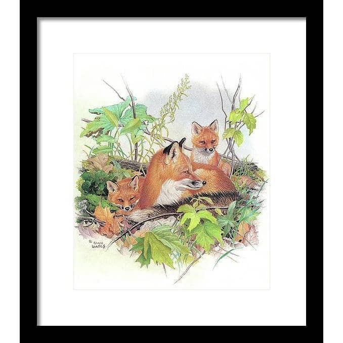 Red Fox and Kits - Framed Print | Artwork by Glen Loates