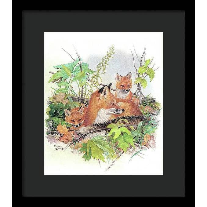 Red Fox and Kits - Framed Print | Artwork by Glen Loates