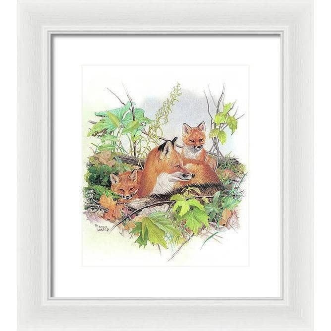 Red Fox and Kits - Framed Print | Artwork by Glen Loates