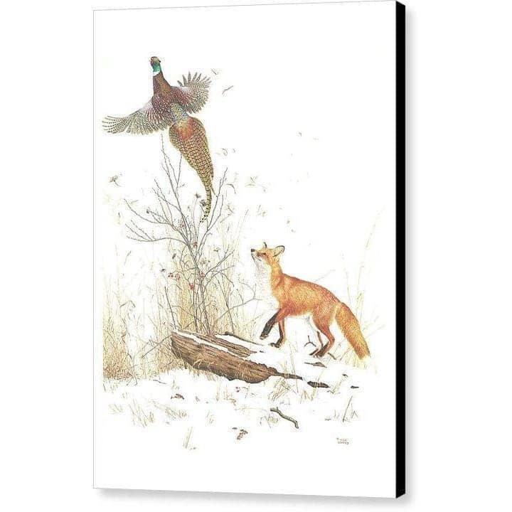 Red Fox and Ring-necked Pheasant - Canvas Print | Artwork by Glen Loates