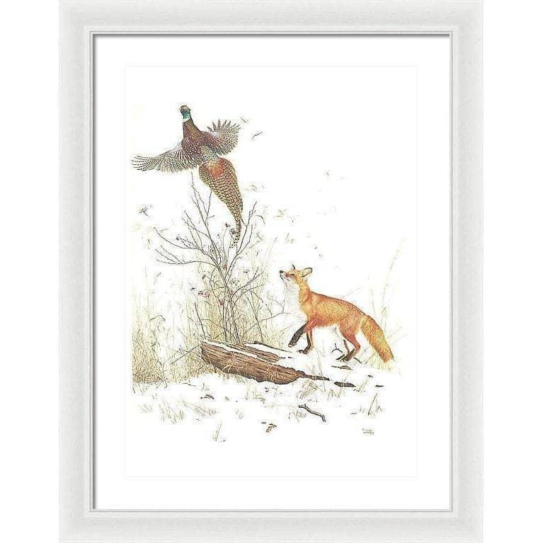 Red Fox and Ring-necked Pheasant - Framed Print | Artwork by Glen Loates