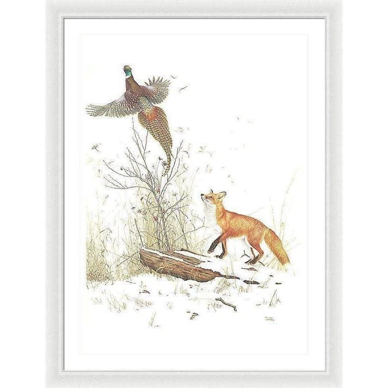 Red Fox and Ring-necked Pheasant - Framed Print | Artwork by Glen Loates