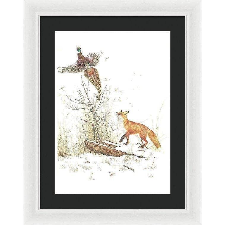 Red Fox and Ring-necked Pheasant - Framed Print | Artwork by Glen Loates