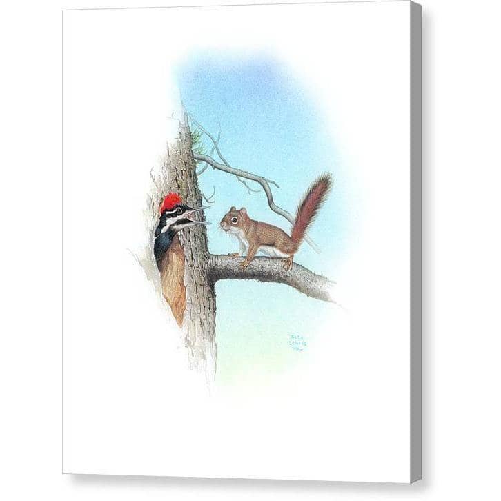 Red Squirrel and Pileated Woodpecker - Canvas Print | Artwork by Glen Loates
