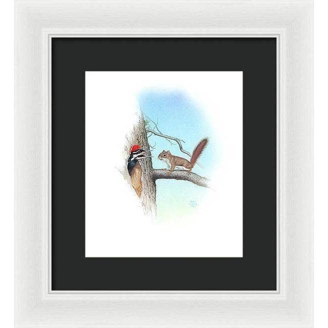 Red Squirrel and Pileated Woodpecker - Framed Print | Artwork by Glen Loates