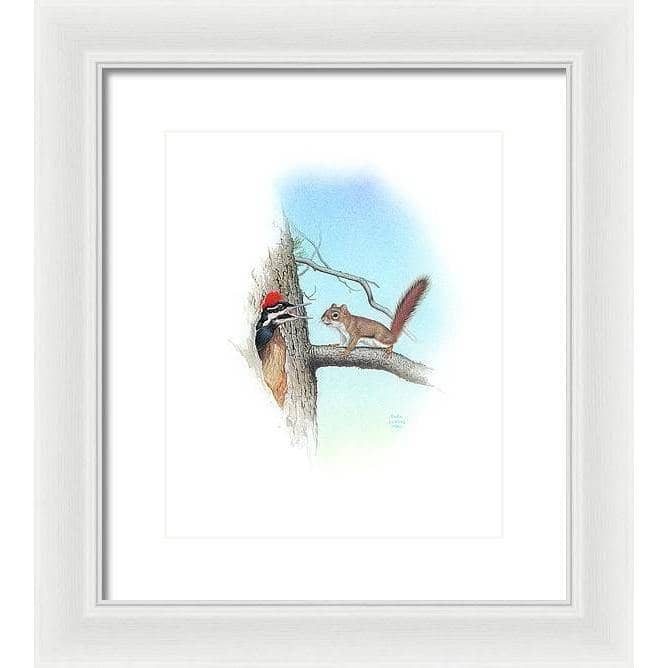 Red Squirrel and Pileated Woodpecker - Framed Print | Artwork by Glen Loates