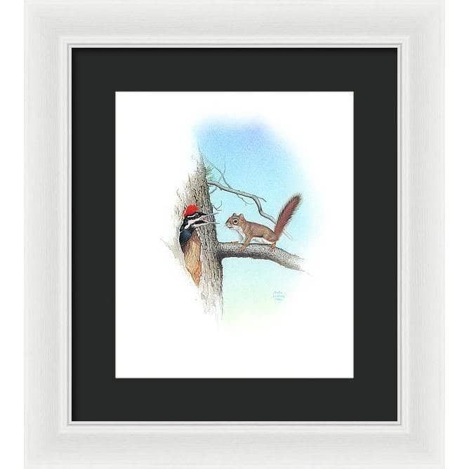 Red Squirrel and Pileated Woodpecker - Framed Print | Artwork by Glen Loates