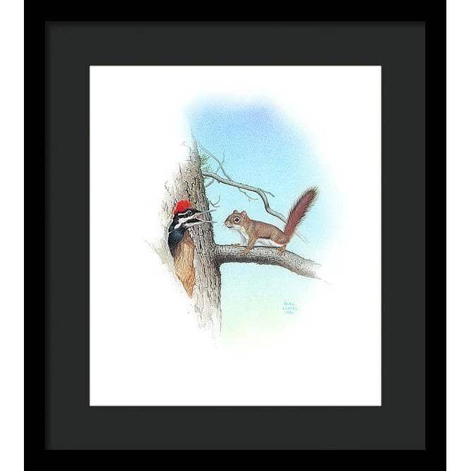 Red Squirrel and Pileated Woodpecker - Framed Print | Artwork by Glen Loates