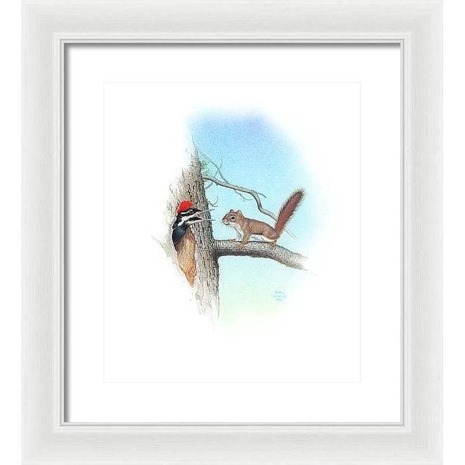 Red Squirrel and Pileated Woodpecker - Framed Print | Artwork by Glen Loates