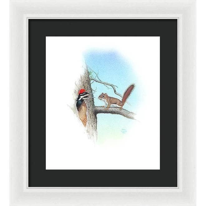 Red Squirrel and Pileated Woodpecker - Framed Print | Artwork by Glen Loates