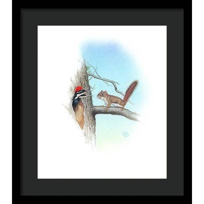 Red Squirrel and Pileated Woodpecker - Framed Print | Artwork by Glen Loates