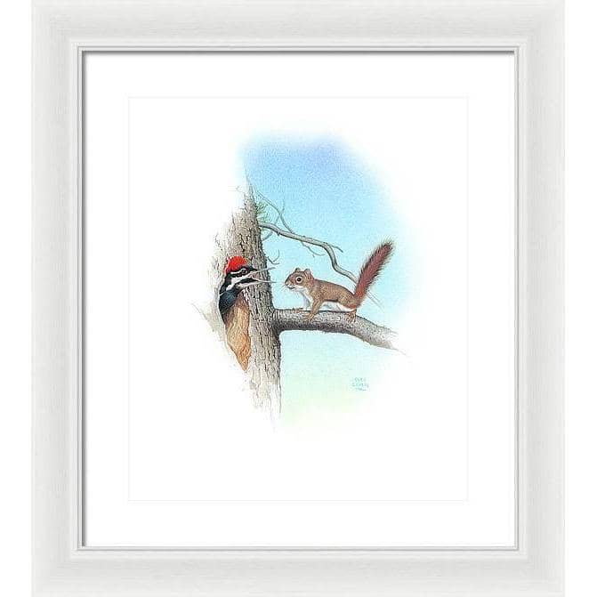 Red Squirrel and Pileated Woodpecker - Framed Print | Artwork by Glen Loates