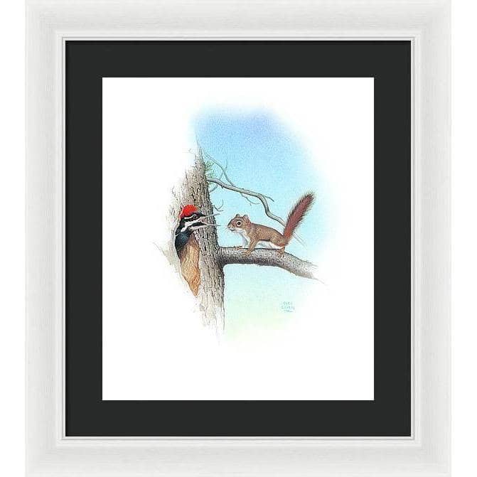 Red Squirrel and Pileated Woodpecker - Framed Print | Artwork by Glen Loates