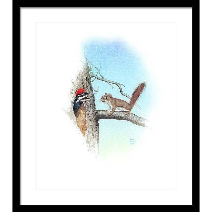 Red Squirrel and Pileated Woodpecker - Framed Print | Artwork by Glen Loates