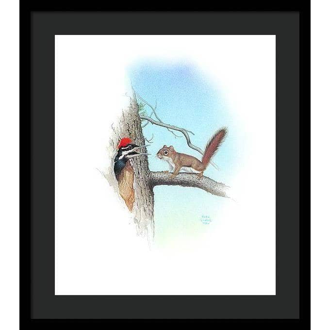 Red Squirrel and Pileated Woodpecker - Framed Print | Artwork by Glen Loates