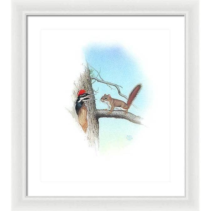 Red Squirrel and Pileated Woodpecker - Framed Print | Artwork by Glen Loates