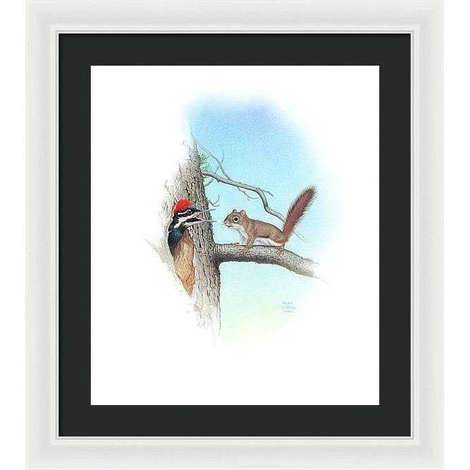 Red Squirrel and Pileated Woodpecker - Framed Print | Artwork by Glen Loates