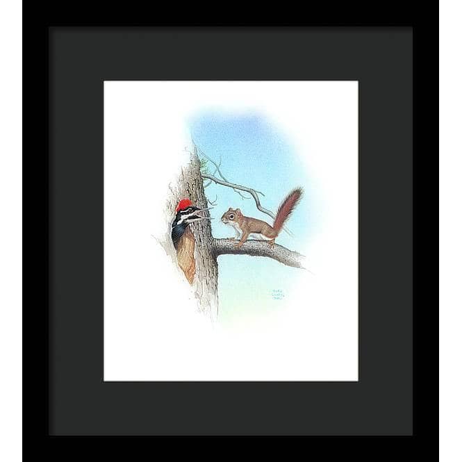 Red Squirrel and Pileated Woodpecker - Framed Print | Artwork by Glen Loates