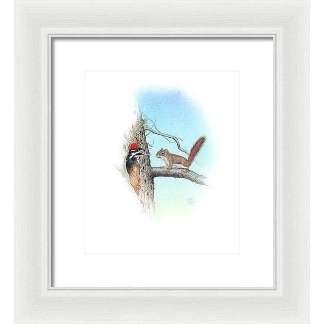Red Squirrel and Pileated Woodpecker - Framed Print | Artwork by Glen Loates