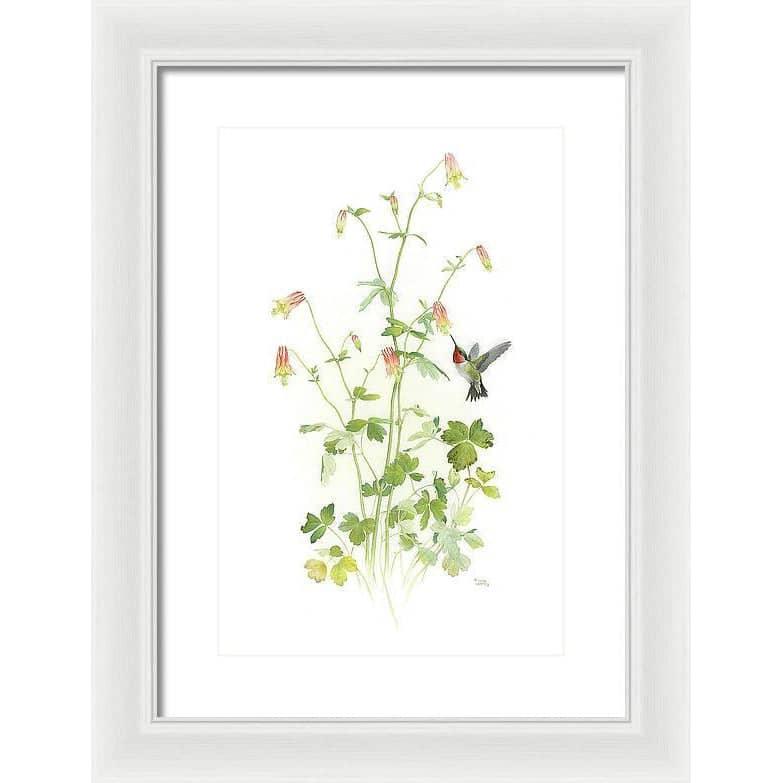Ruby-throated Hummingbird with Red Columbine - Framed Print | Artwork by Glen Loates